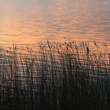 Ferienhaus Achtern Schilf Olpenitz